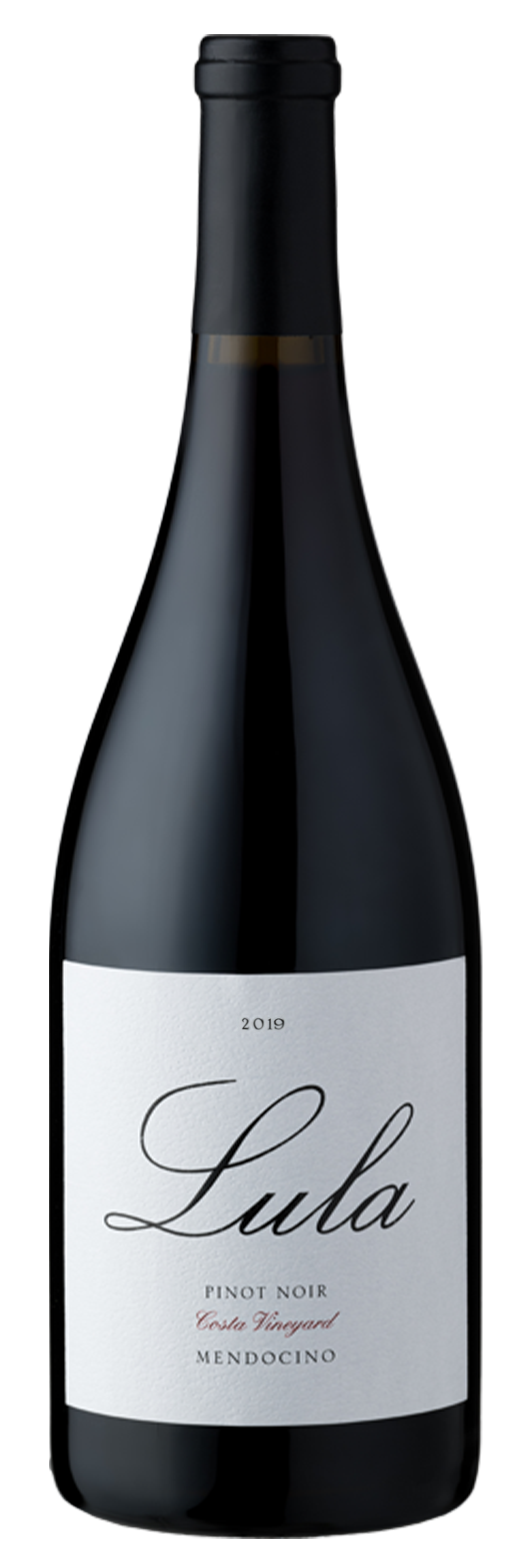 Product Image for 2019 Costa Vineyard Pinot Noir